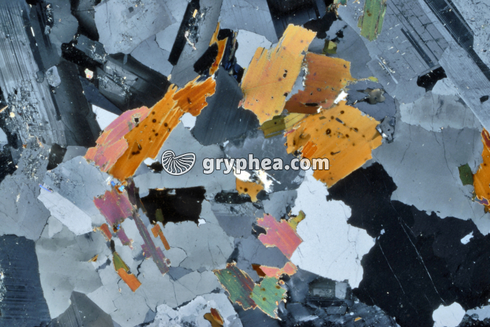 Granite LPA x3 - gryphea.com